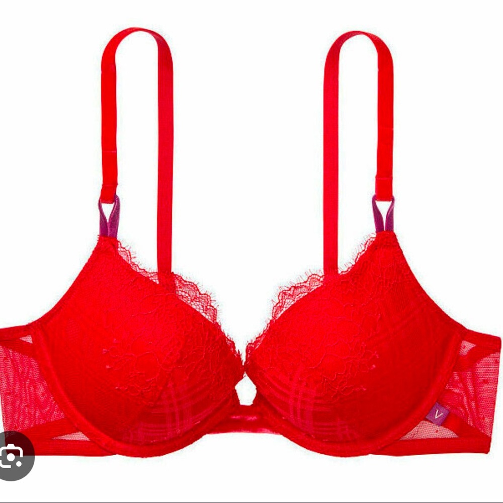 Victoria’s Secret Red Lace Mesh Wings Velvet Bra